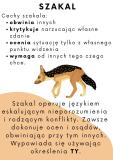 Zdjęcie 13