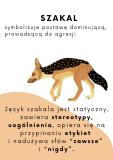 Zdjęcie 11