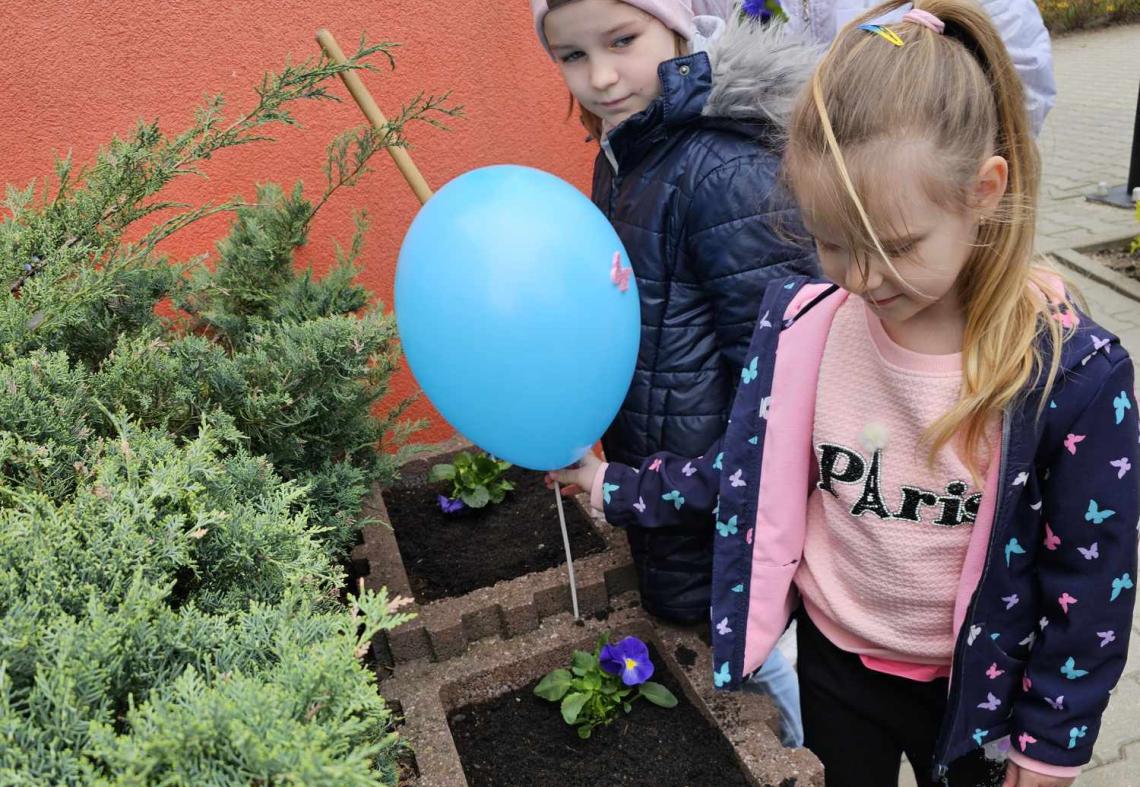 „Posadź bratka niebieskiego kwiatka”